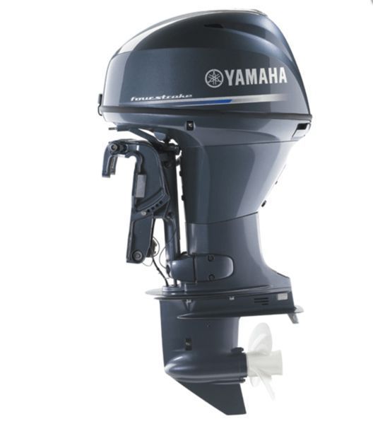 Yamaha F30 BETL