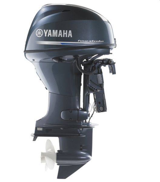 Yamaha F30 BETL