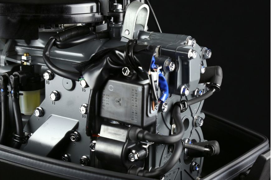 Suzuki DT40WS
